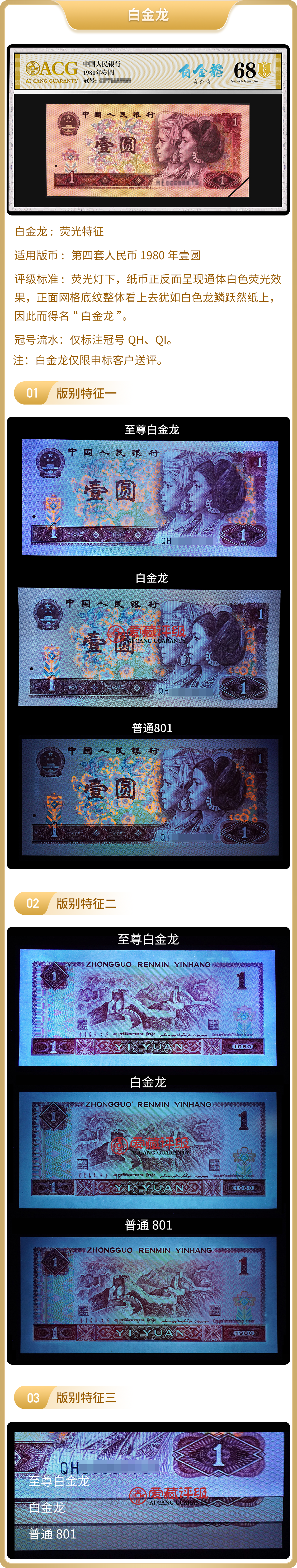 白金龙.png